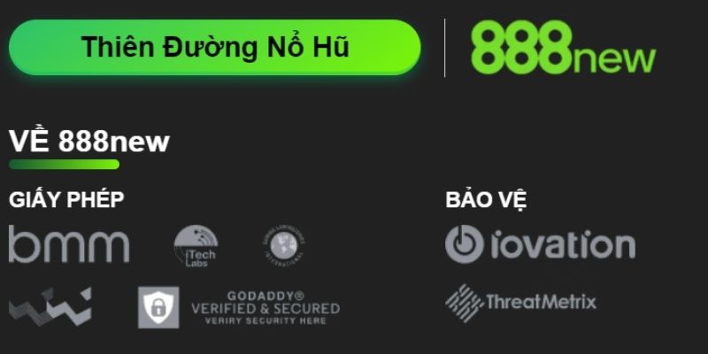 888New - Nhà Cái Cá Cược Đẳng Cấp Nhất Việt Nam 7 888New Giải Đáp Thắc Mắc Thường Gặp